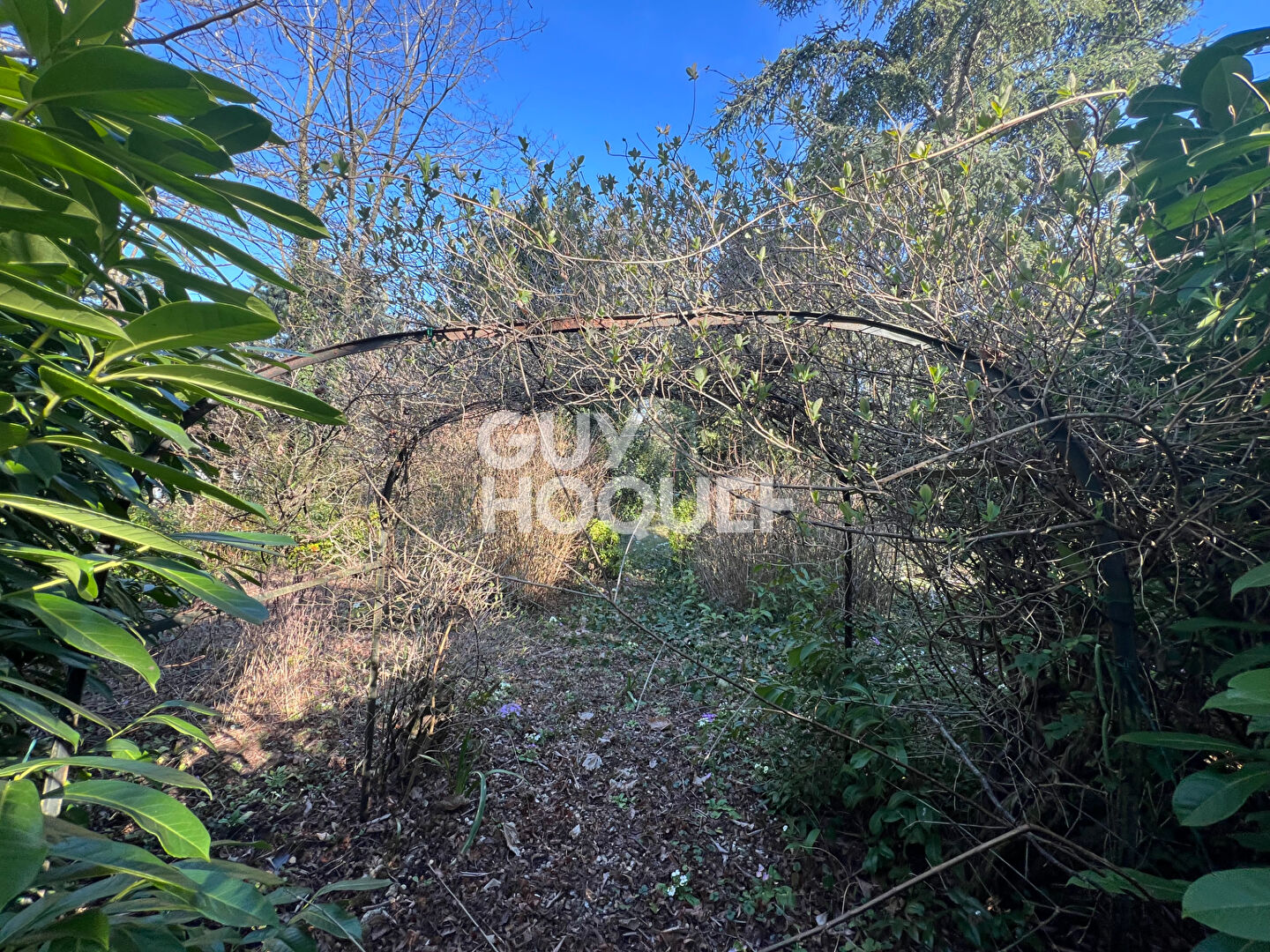 12 MIN SUD MILLY LA FORET