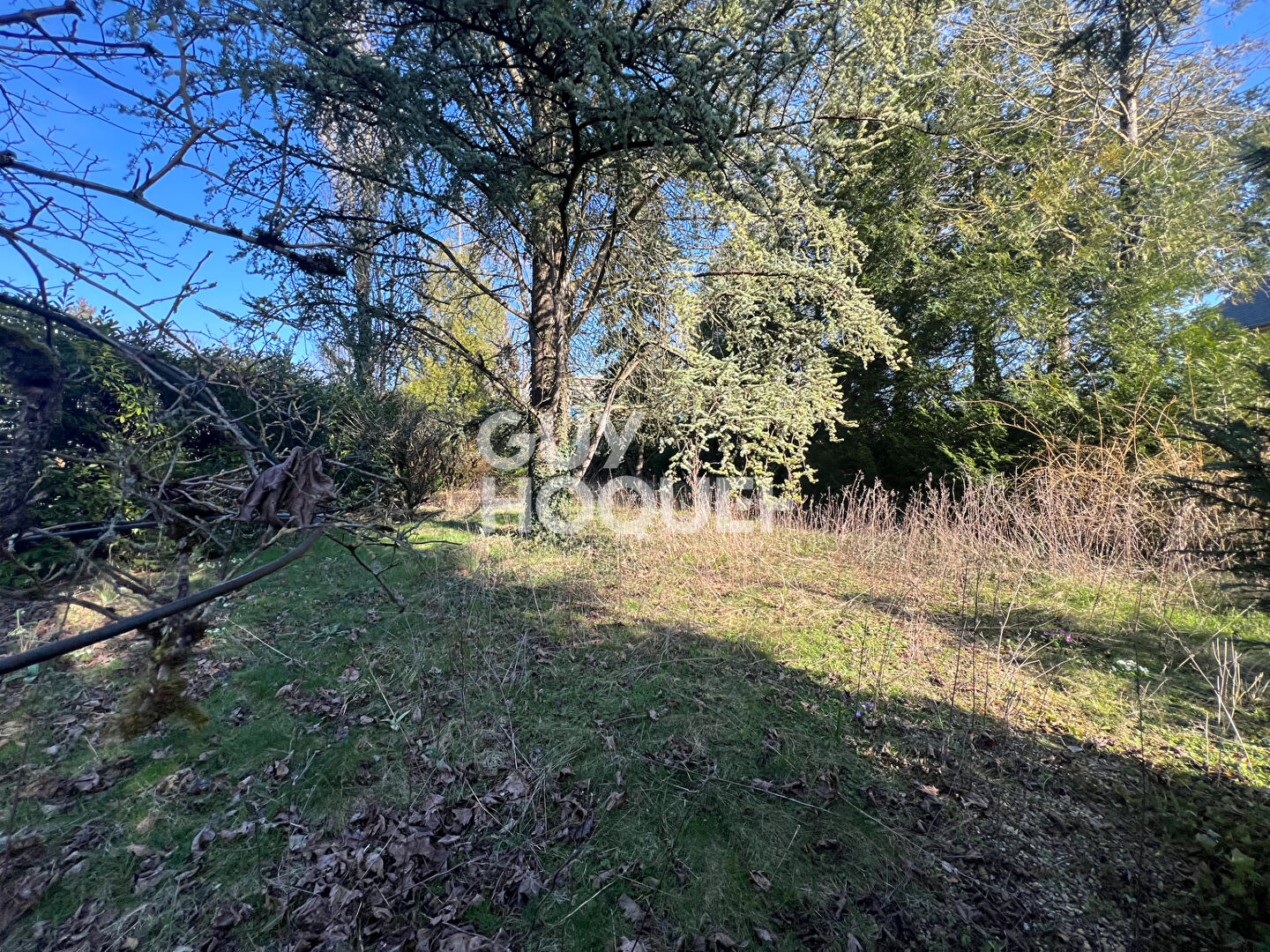 12 MIN SUD MILLY LA FORET