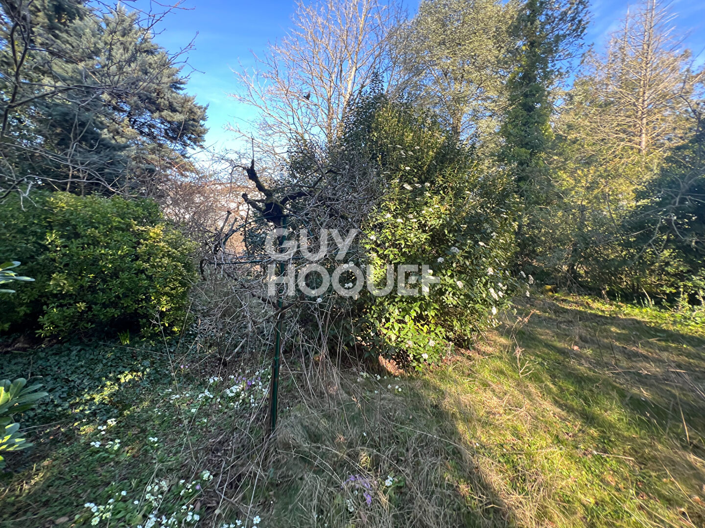 12 MIN SUD MILLY LA FORET