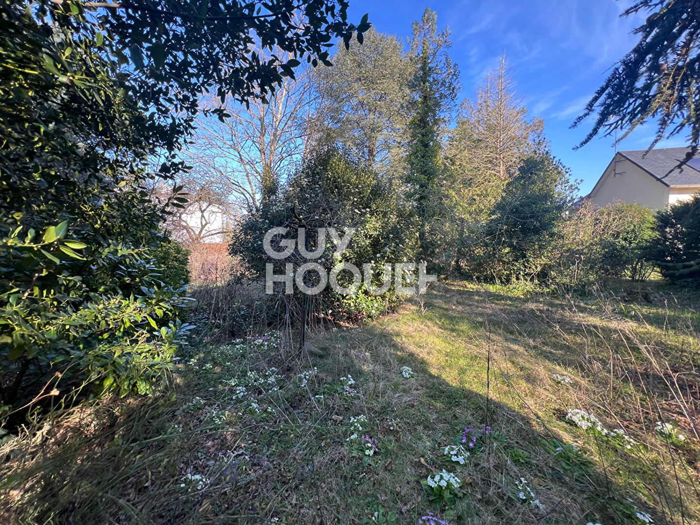 12 MIN SUD MILLY LA FORET