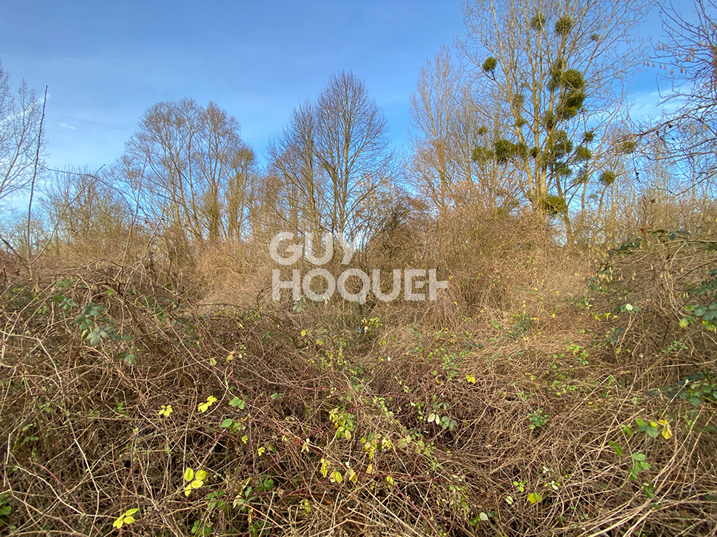 Terrain de loisirs Nanteau Sur Essonne