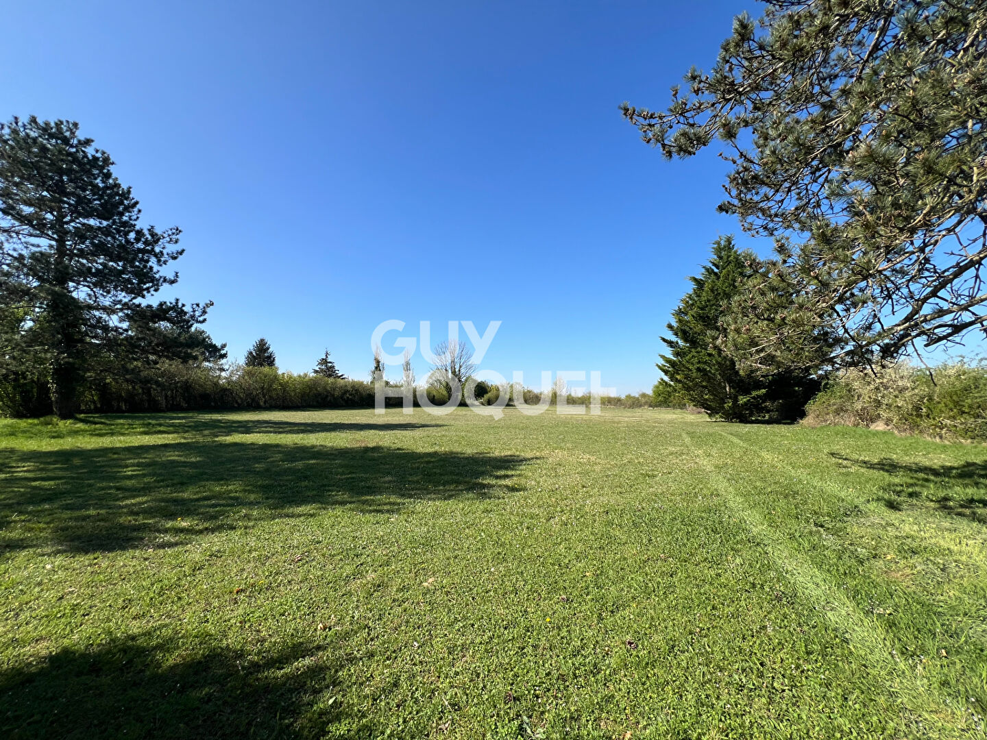 PROCHE MILLY LA FORET