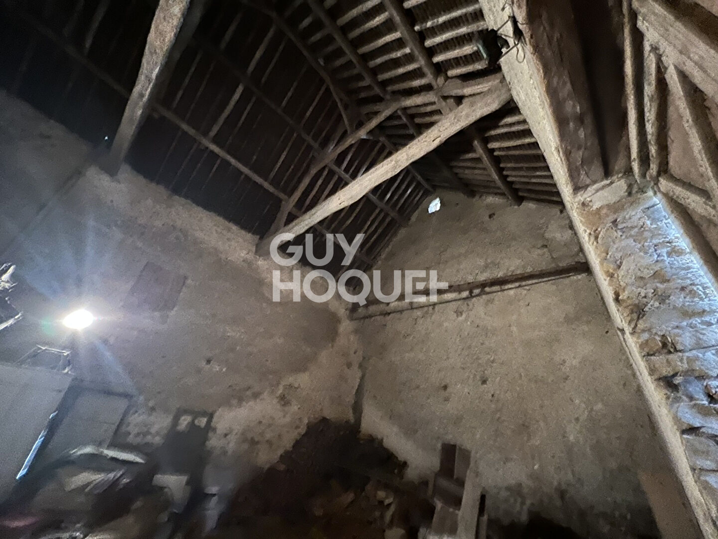 10 MIN MILLY LA FORET