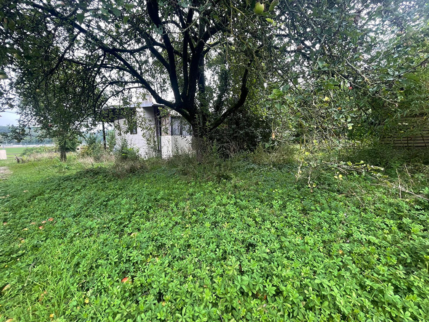 Maison de 3 pièces (79 m²) à vendre à COMBS LA VILLE