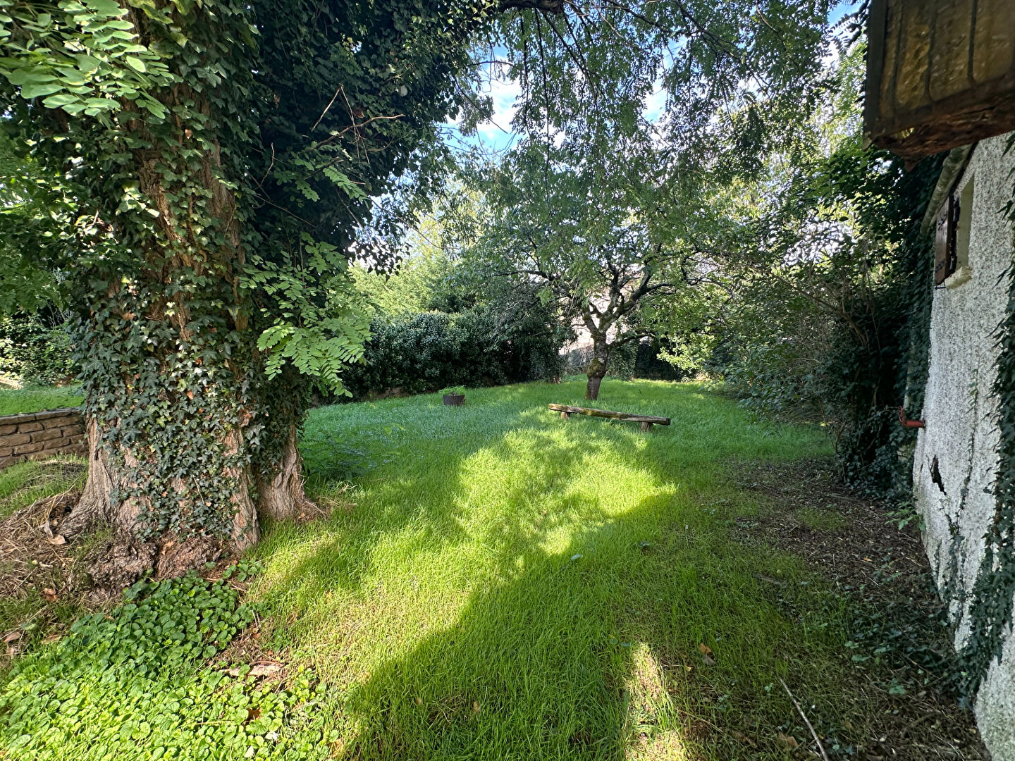 Maison Miribel 41 m² sur terrain de 765 m²