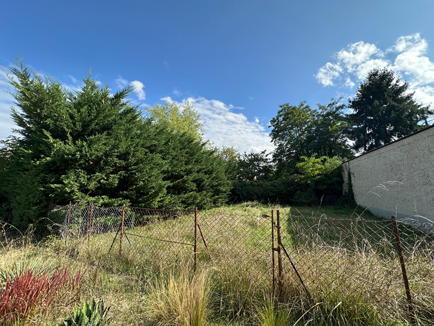 Maison Miribel 41 m² sur terrain de 765 m²