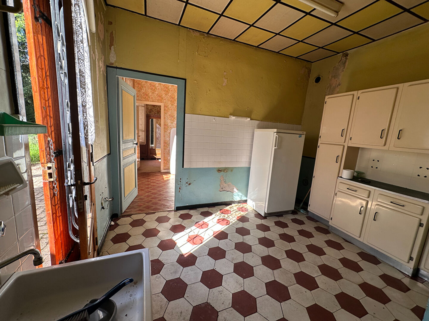 Maison Miribel 41 m² sur terrain de 765 m²
