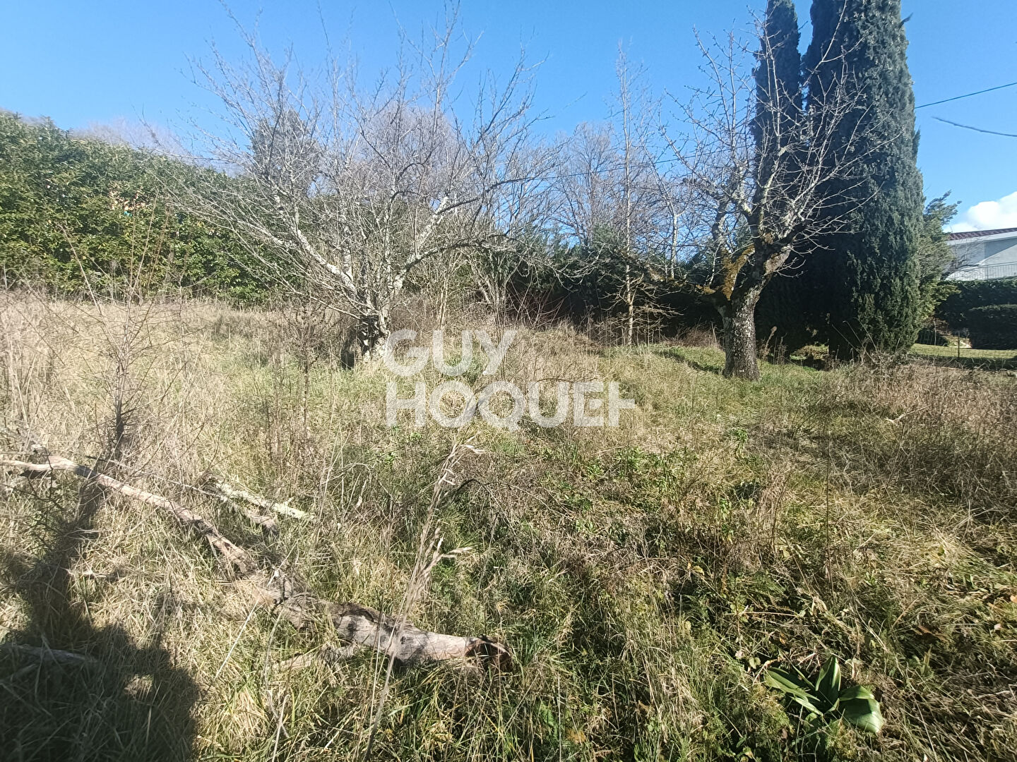 Terrain Beynost 724 m²