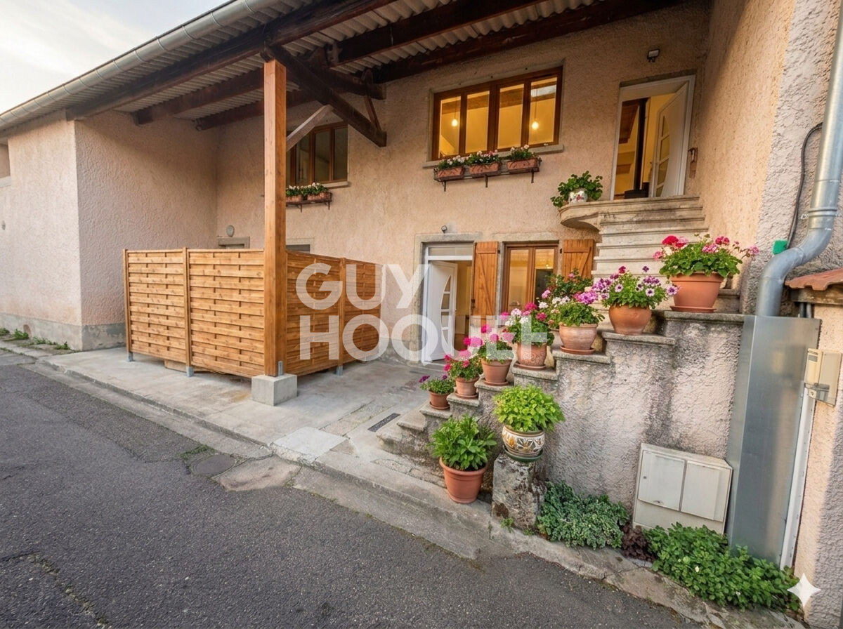 OPPORTUNITÉ INVESTISSEUR - Ensemble immobilier de 2 appartements rénovés à La Boisse (01120)