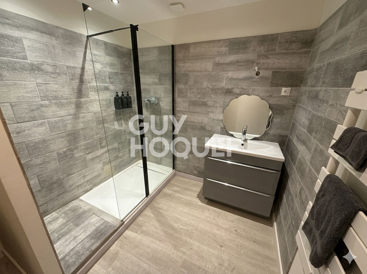 OPPORTUNITÉ INVESTISSEUR - Ensemble immobilier de 2 appartements rénovés à La Boisse (01120)