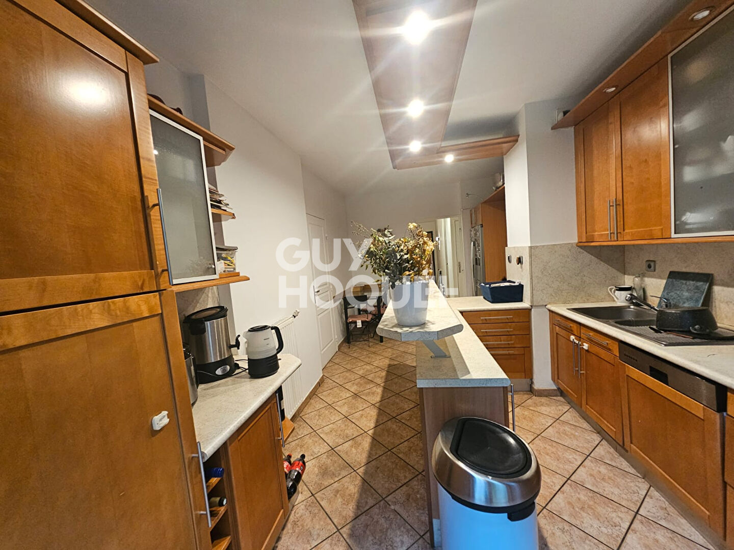 Appartement  rez-de-jardin Villeurbanne 7 pièces 161.30 m2