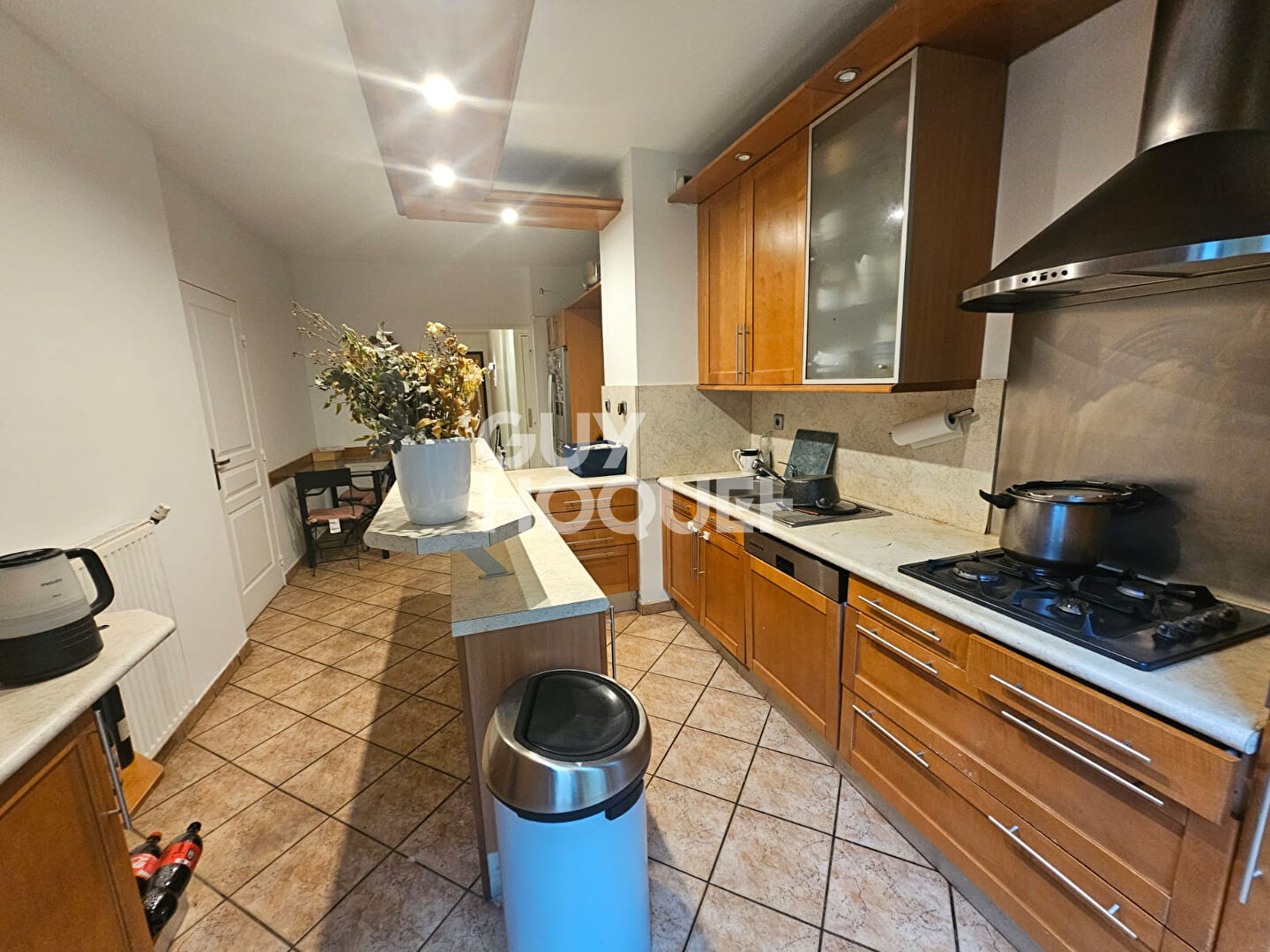 Appartement  rez-de-jardin Villeurbanne 7 pièces 161.30 m2
