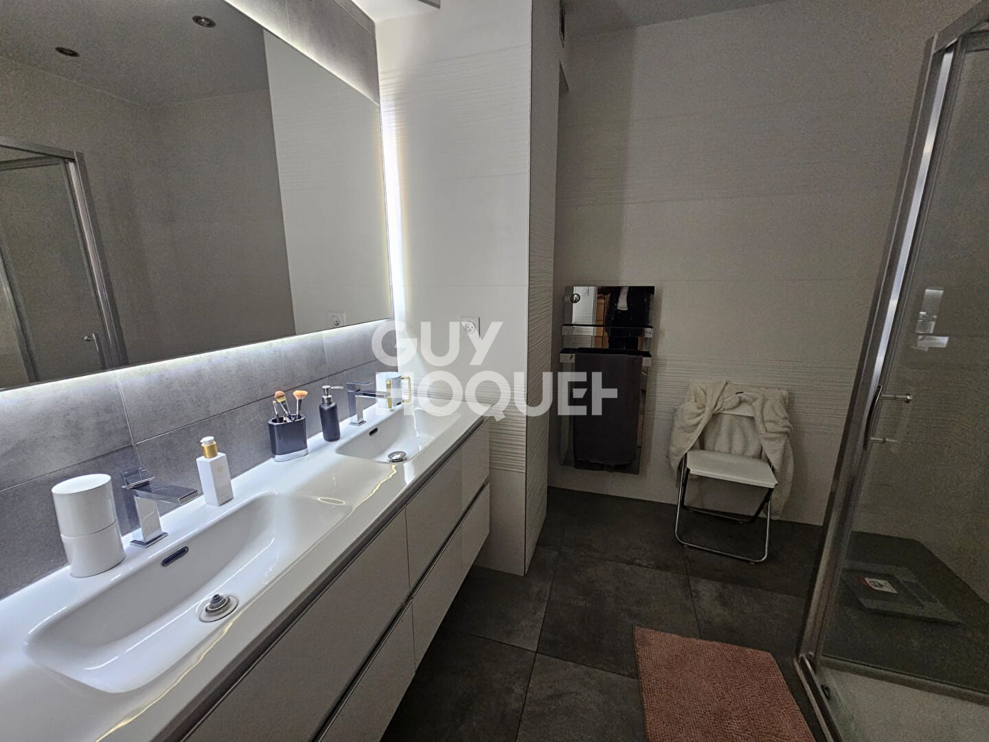 Appartement  rez-de-jardin Villeurbanne 7 pièces 161.30 m2