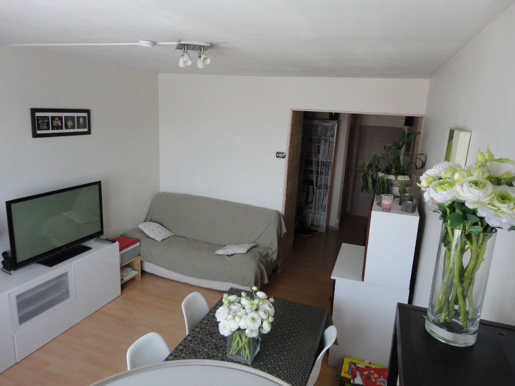 VILLEPARISIS / CHATAIGNIERS