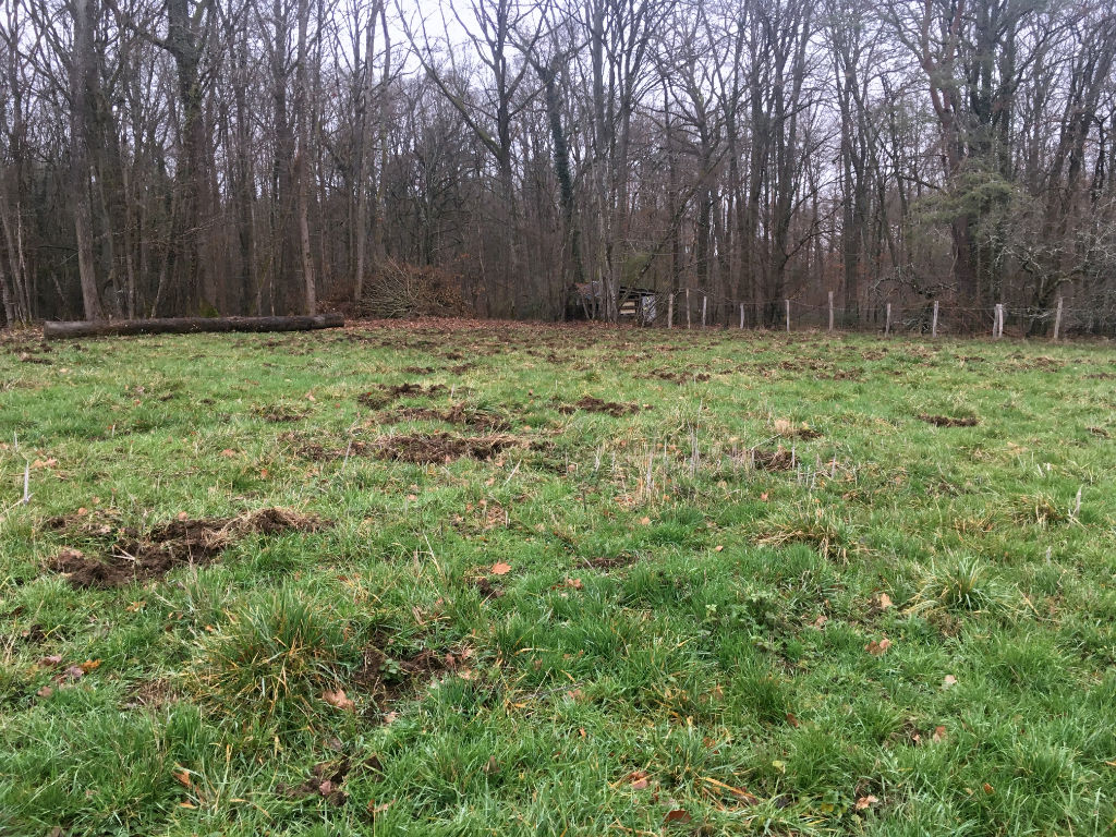 Terrain Appoigny