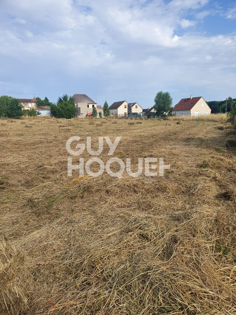 Terrain Charbuy environ 7 000 m²