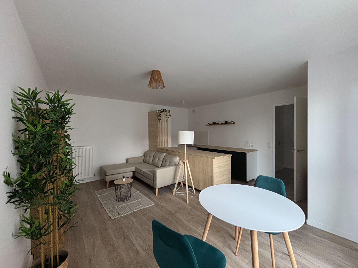 Appartement Le Blanc Mesnil 2 pièce(s) 45,47 m2