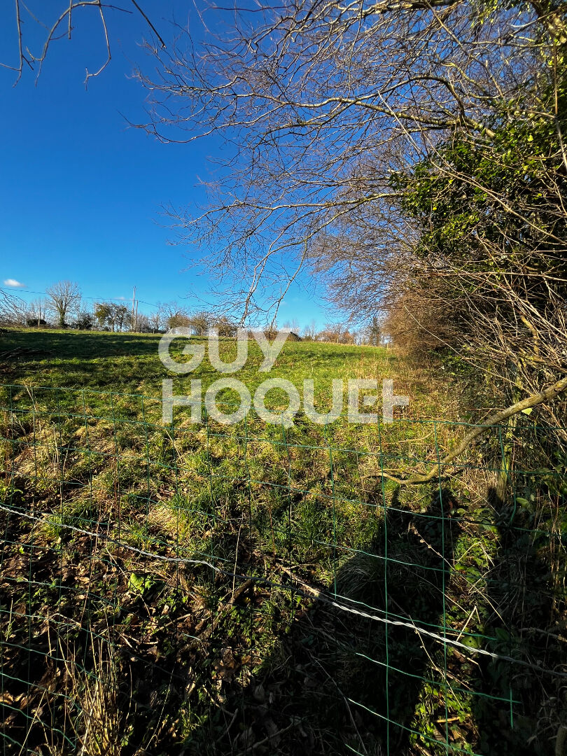 Maison, deux gites fonctionnels