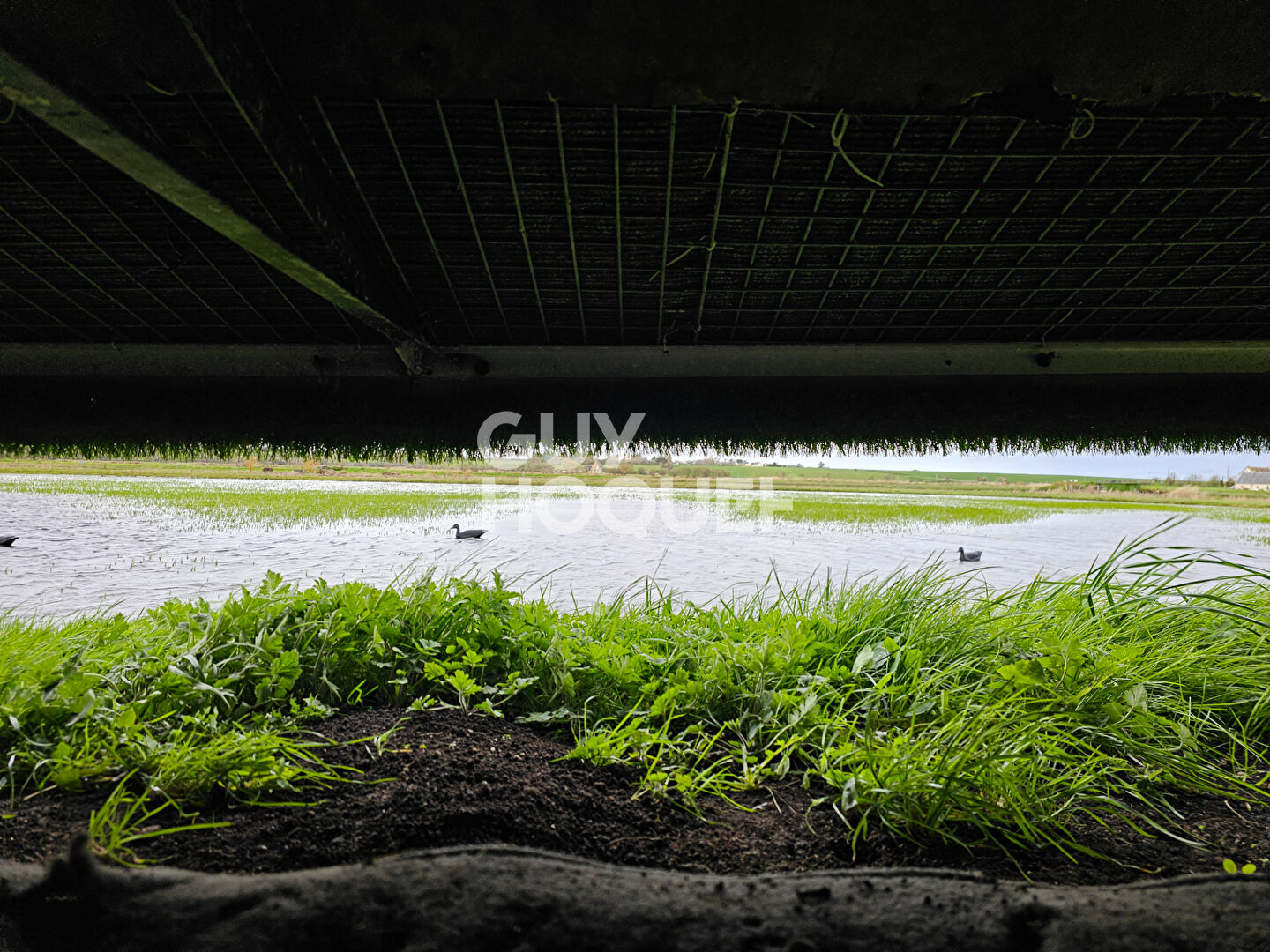 GABION Cricqueville-en-bessin