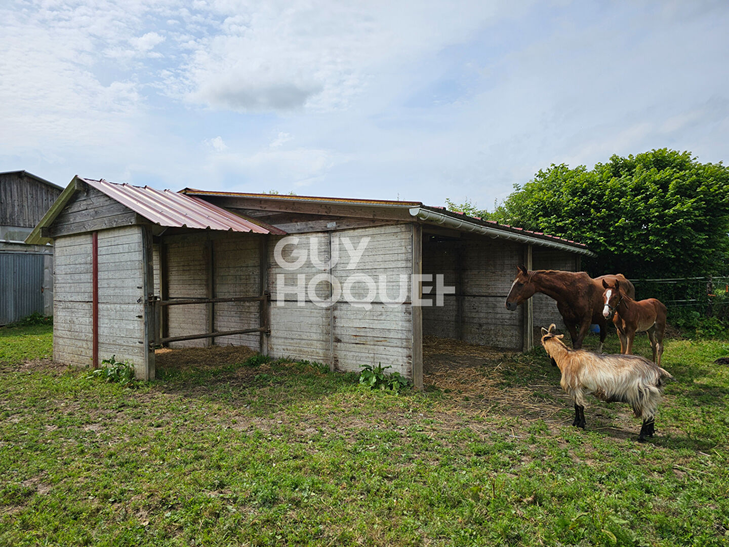 Propriété équestre TERRE-ET-MARAIS