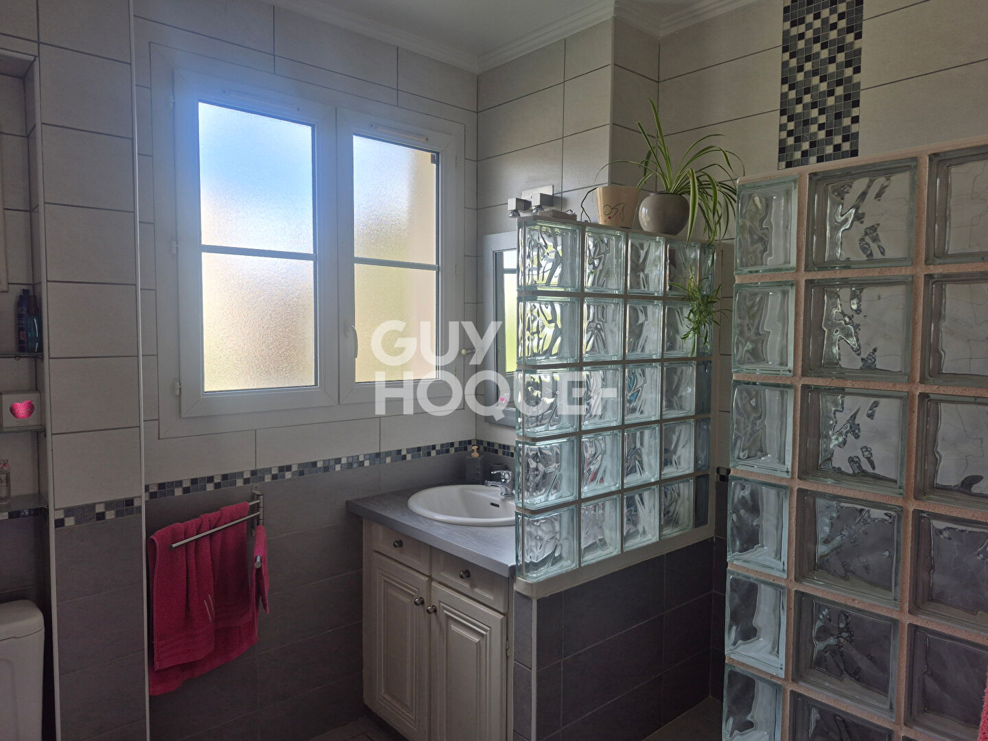 Appartement Blanc-mesnil 3 pièce(s)