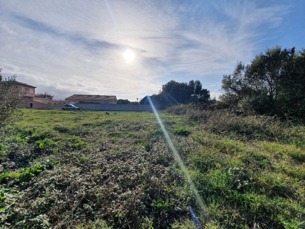LA PALME Terrain 4 faces de 956 m²
