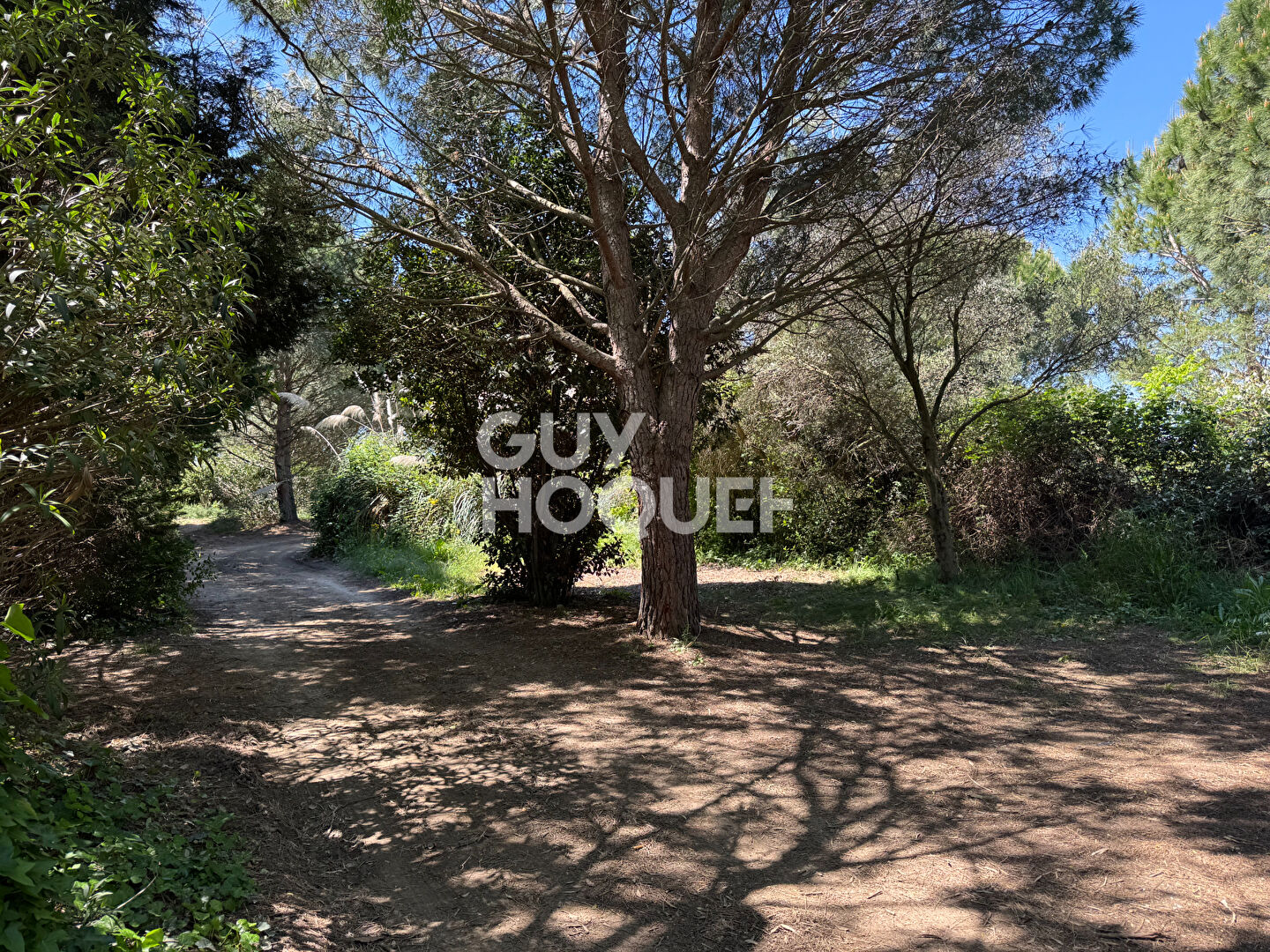 A vendre à SAINT CYPRIEN (66750) Terrain de loisirs de 28 576 m²