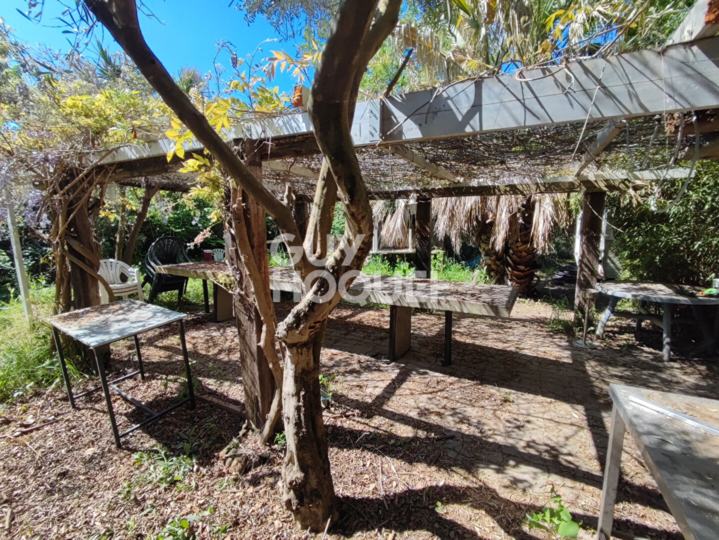 A vendre à SAINT CYPRIEN (66750) Terrain de loisirs de 28 576 m²