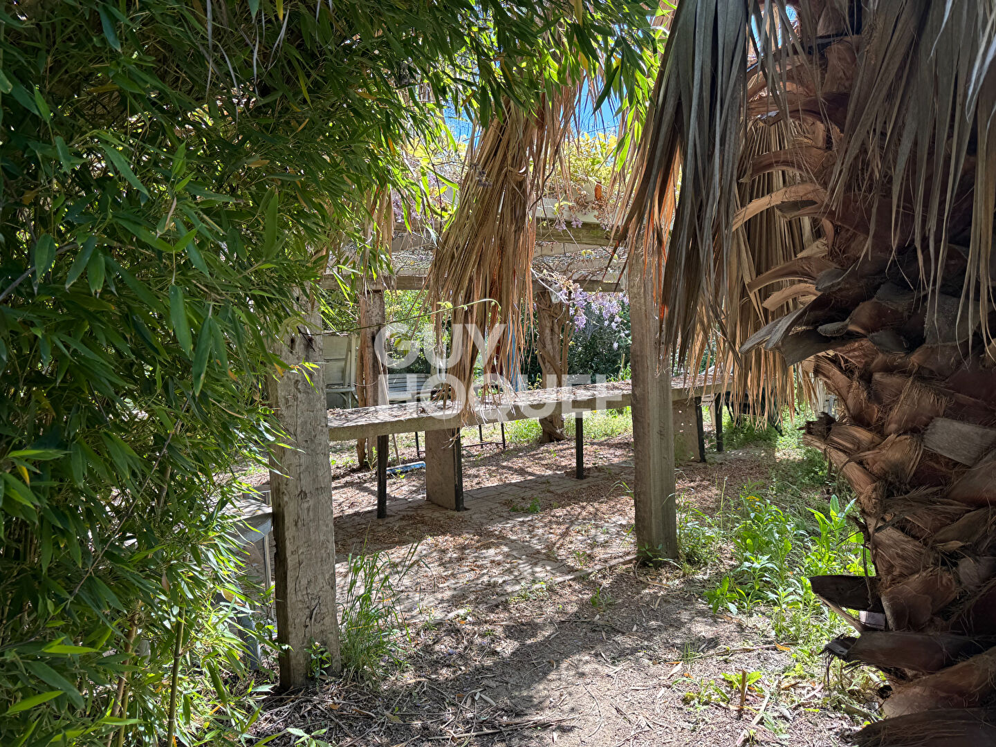 A vendre à SAINT CYPRIEN (66750) Terrain de loisirs de 28 576 m²