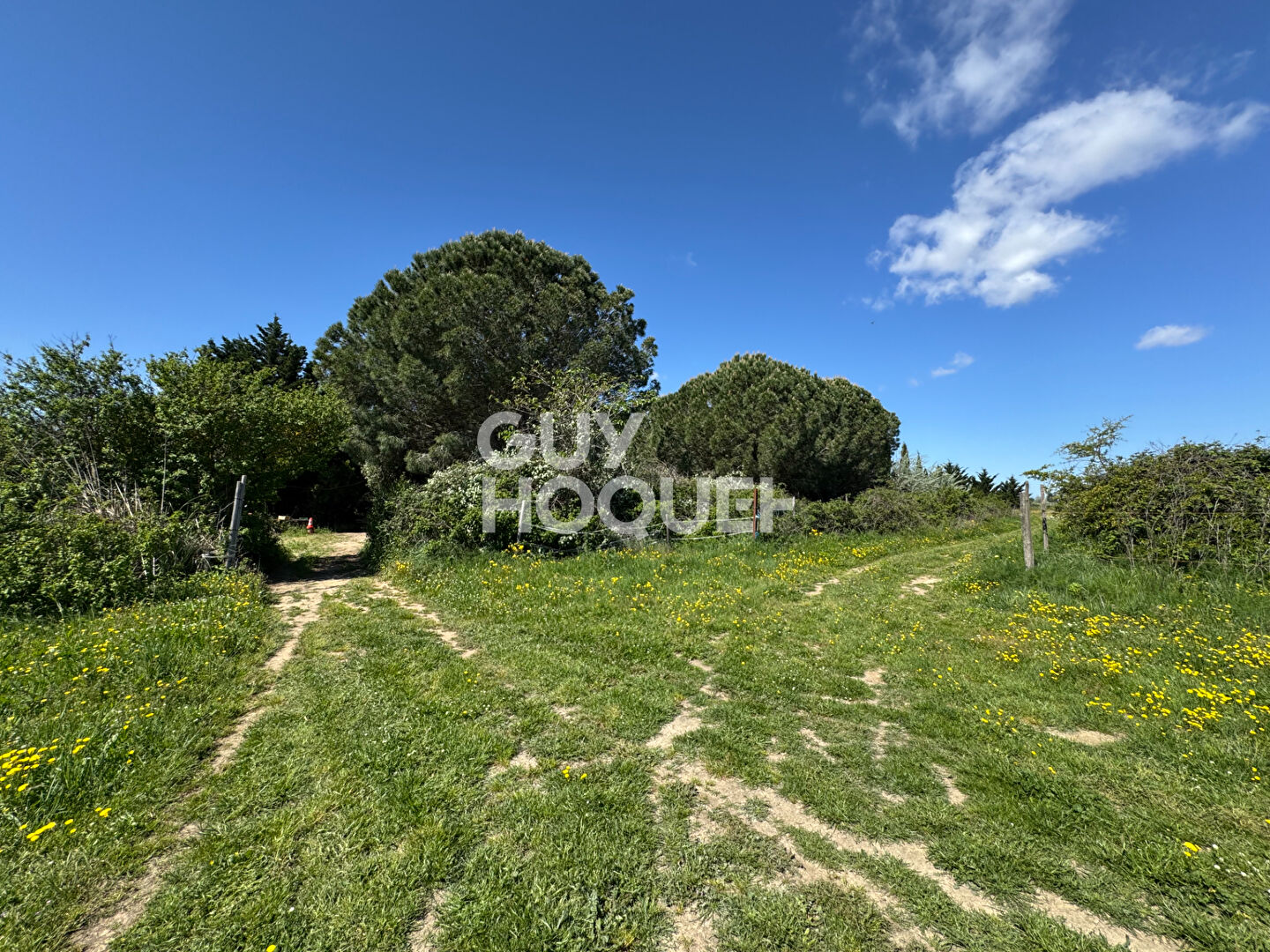 A vendre à SAINT CYPRIEN (66750) Terrain de loisirs de 28 576 m²