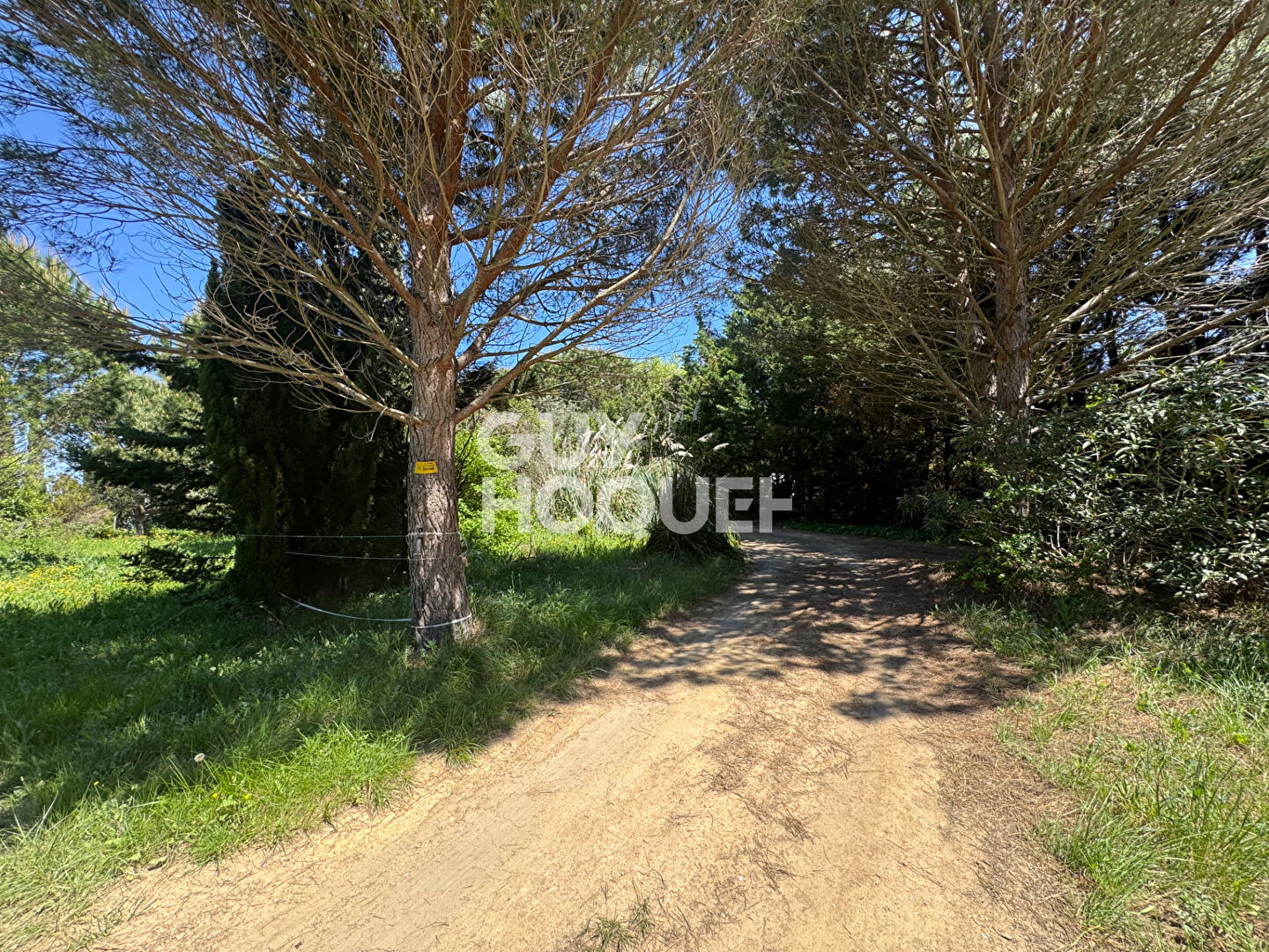 A vendre à SAINT CYPRIEN (66750) Terrain de loisirs de 28 576 m²