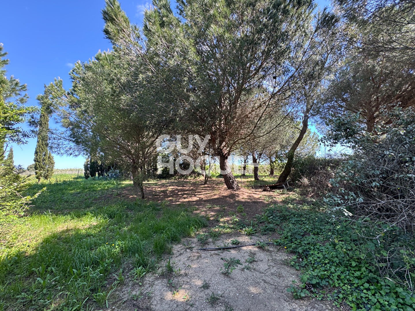 A vendre à SAINT CYPRIEN (66750) Terrain de loisirs de 28 576 m²