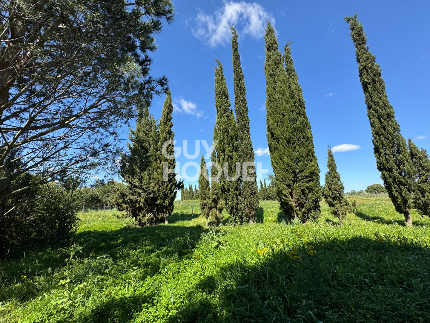 A vendre à SAINT CYPRIEN (66750) Terrain de loisirs de 28 576 m²