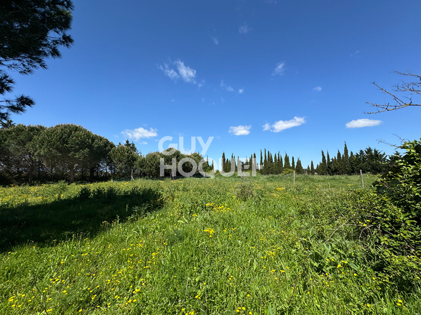 A vendre à SAINT CYPRIEN (66750) Terrain de loisirs de 28 576 m²