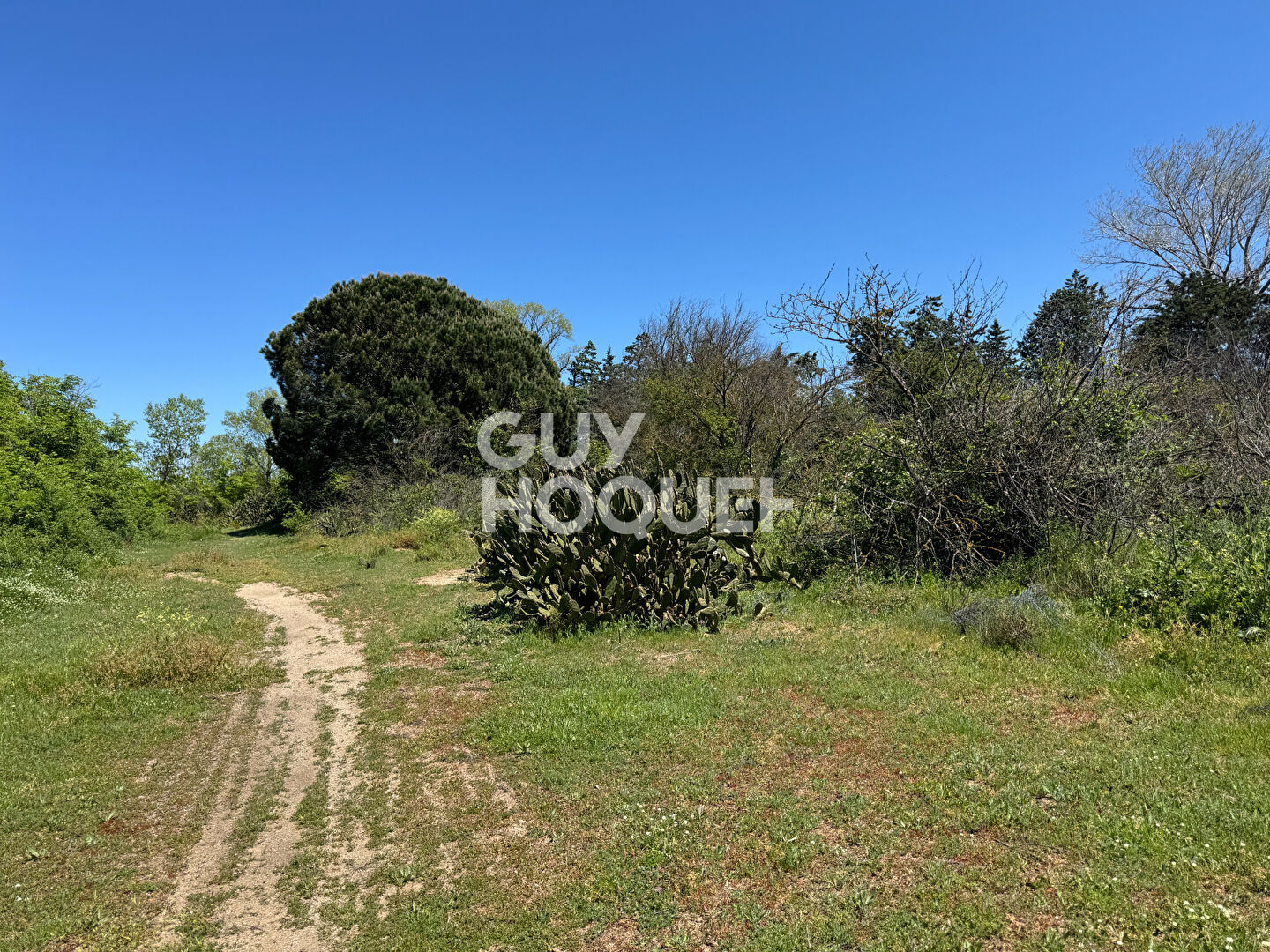 Terrain de loisirs de 26 140m2 à Saint Cyprien