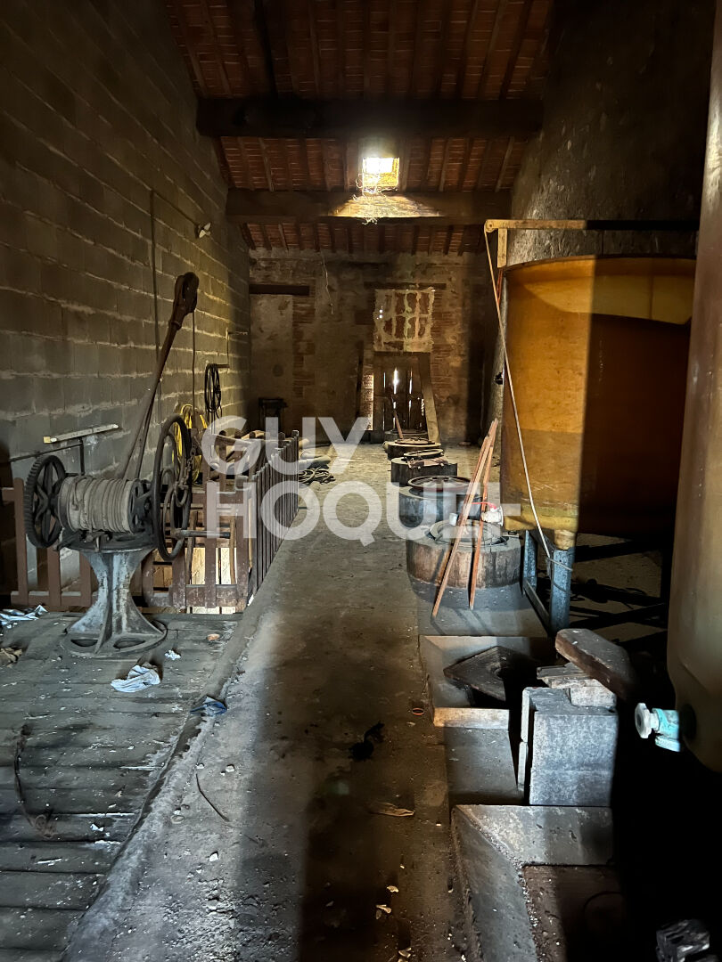 EXCLUSIVITE - A vendre à Fourques (66300) Cave viticole et terrain attenant  - Référence 5496