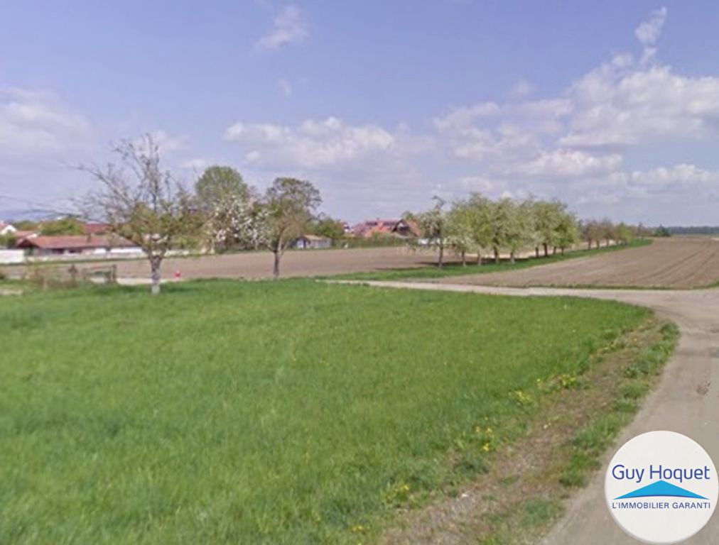 TERRAIN 638 m² à Bâtir en Zone UB HILSENHEIM