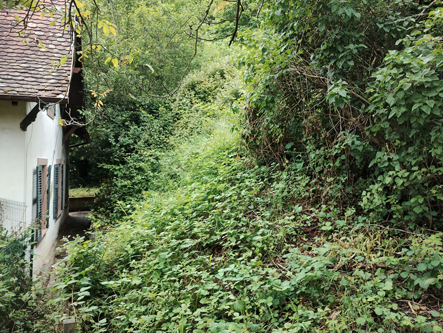 Maison à rénover avec grand terrain  à Sainte-Marie-aux-Mines