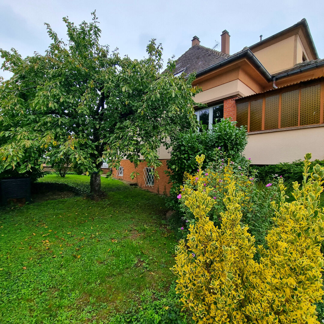 Maison Selestat 6 pièces 162 m2 sur 7,73 ares de terrain emplacement calme