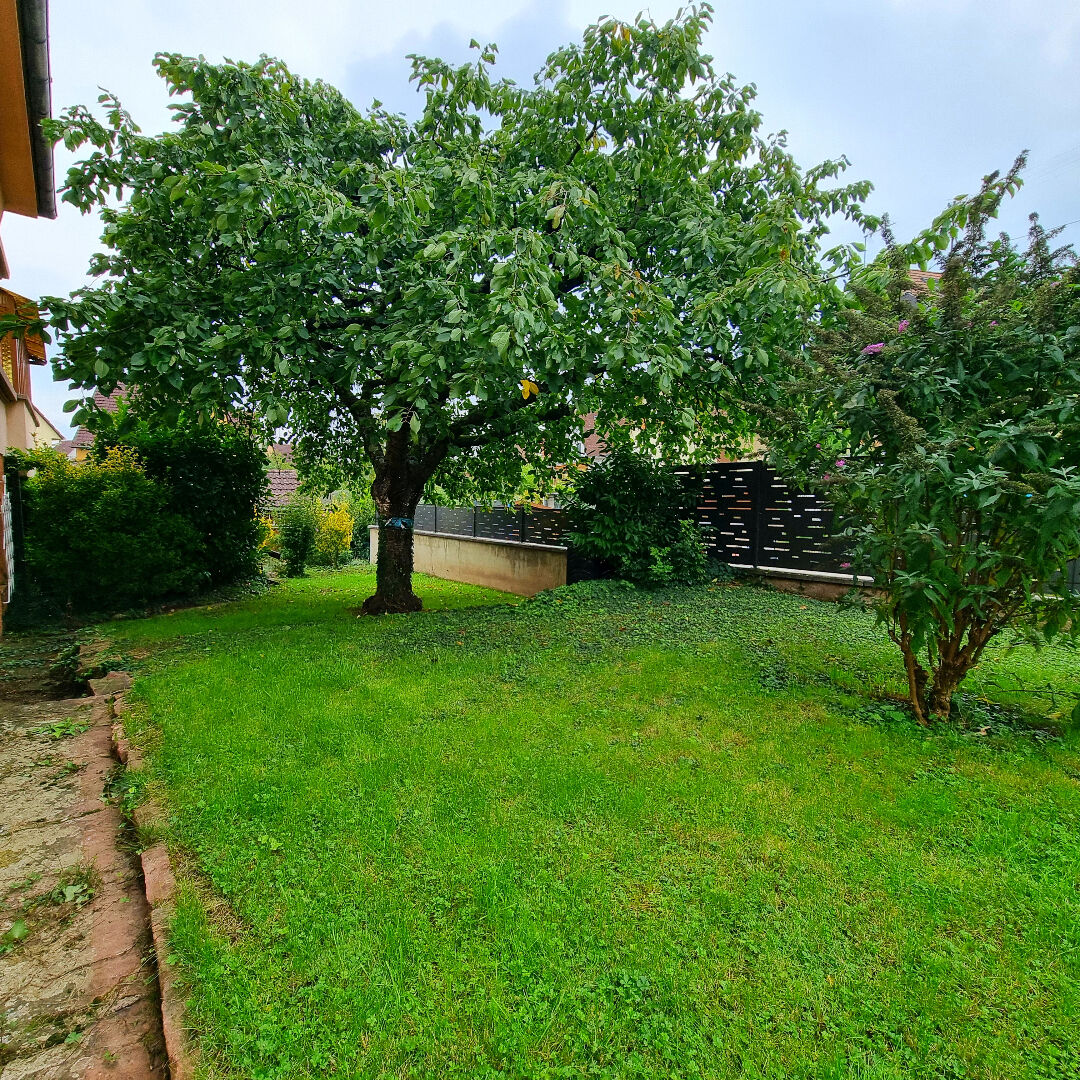 Maison Selestat 6 pièces 162 m2 sur 7,73 ares de terrain emplacement calme