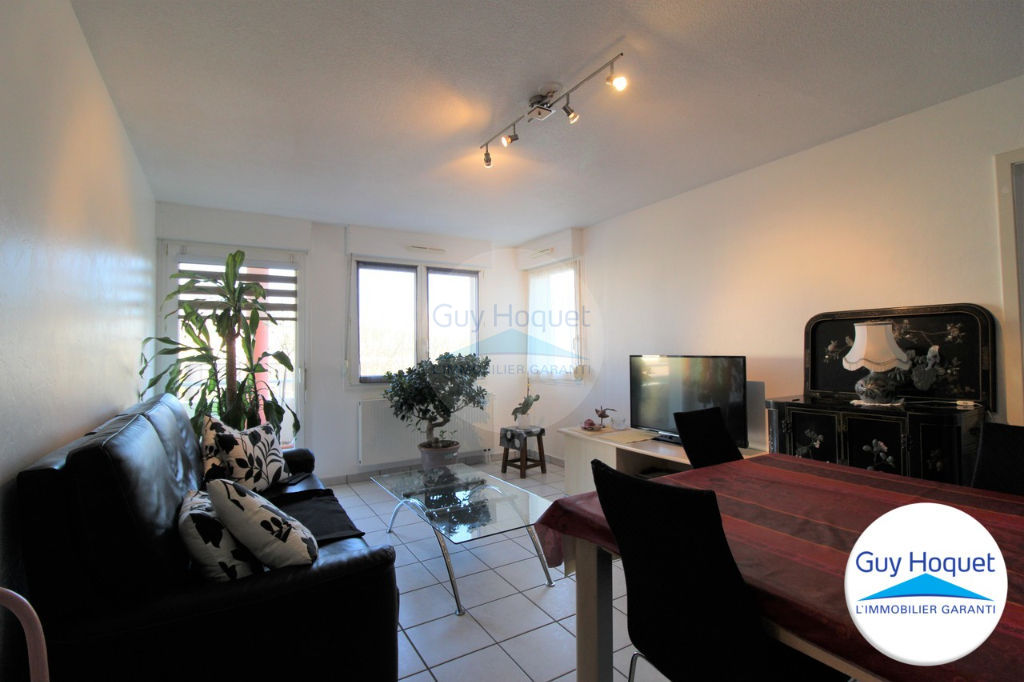 Appartement Villé 3 pièces avec terrasse et garage