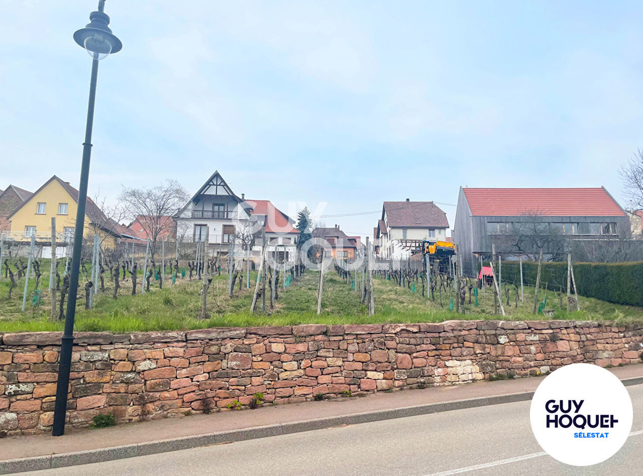 TERRAIN ITTERSWILLER ROUTE DU VIN 9,5 ARES