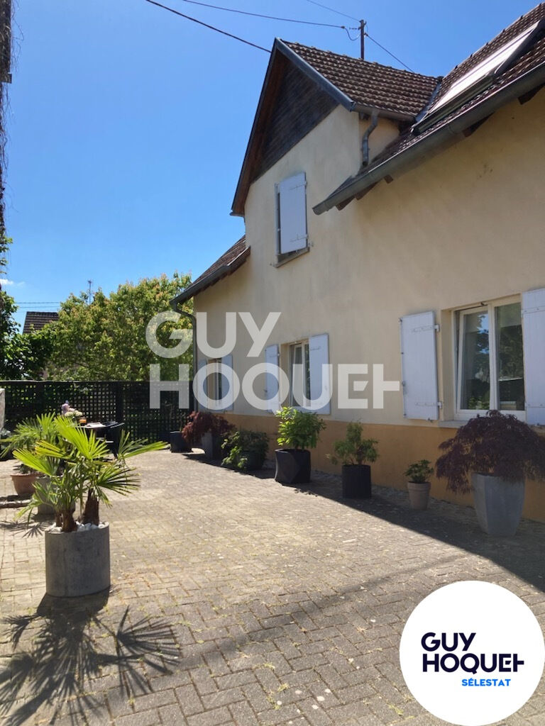 Location : Appartement 3 pièces à RHINAU