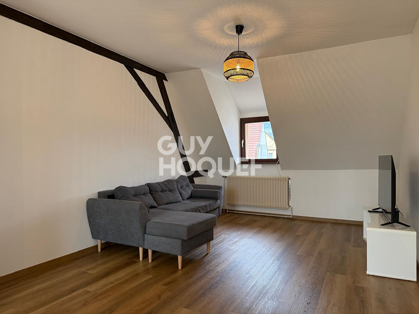 Appartement Meublé Ebersheim 3 pièce(s) 61.23m2