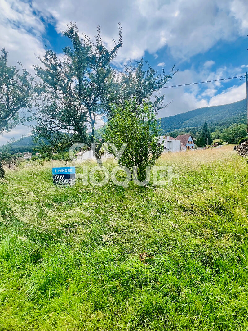 Opportunité Rare à Dieffenbach-au-Val ! Terrain Constructible de 1350 m² à Vendre