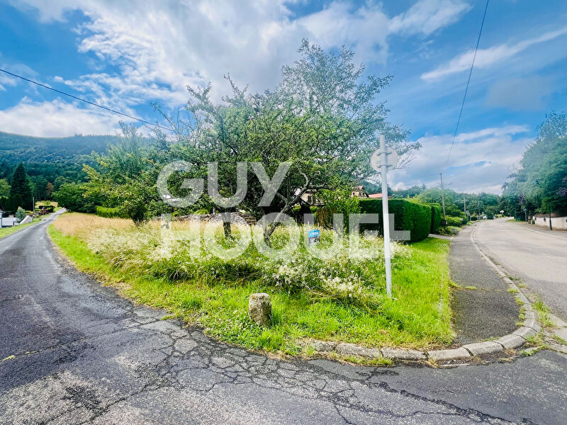 Opportunité Rare à Dieffenbach-au-Val ! Terrain Constructible de 1350 m² à Vendre