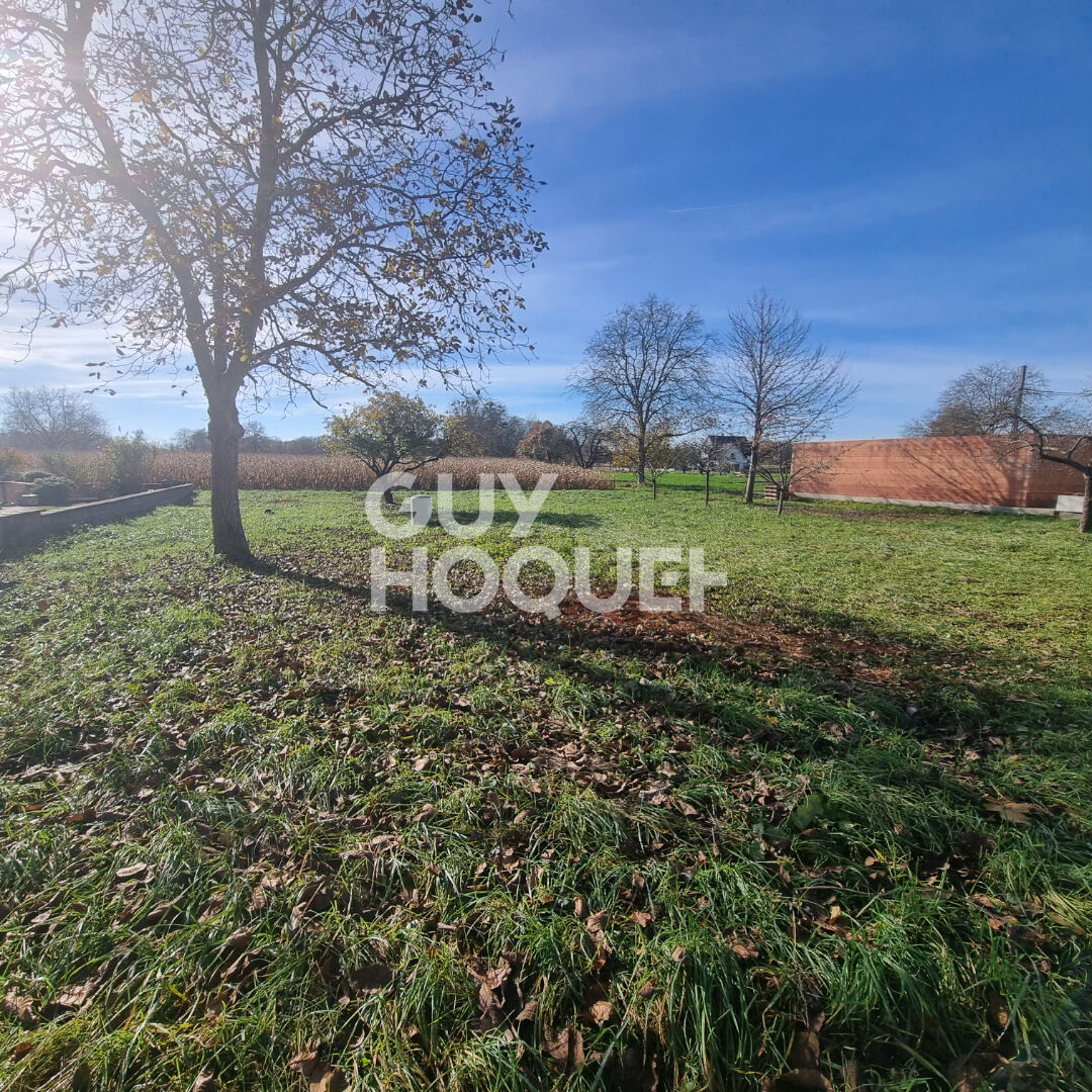 Terrain constructible SAASENHEIM libre d'architecte 5,23 ares.