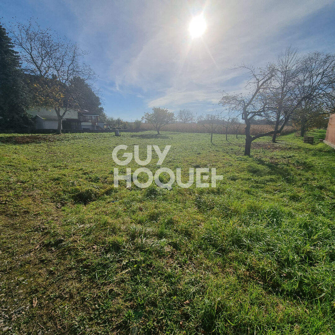 Terrain bonne situation SAASENHEIM libre d'architecte 5,23 ares.