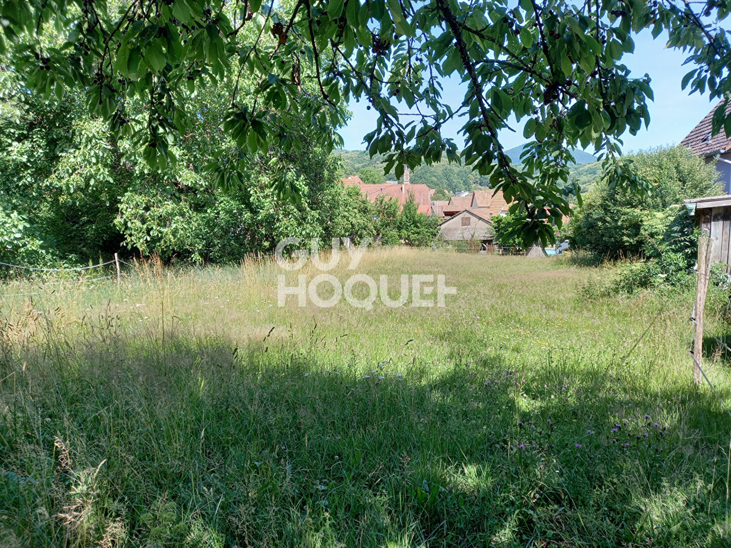 Terrain Breitenbach 11,56 ares