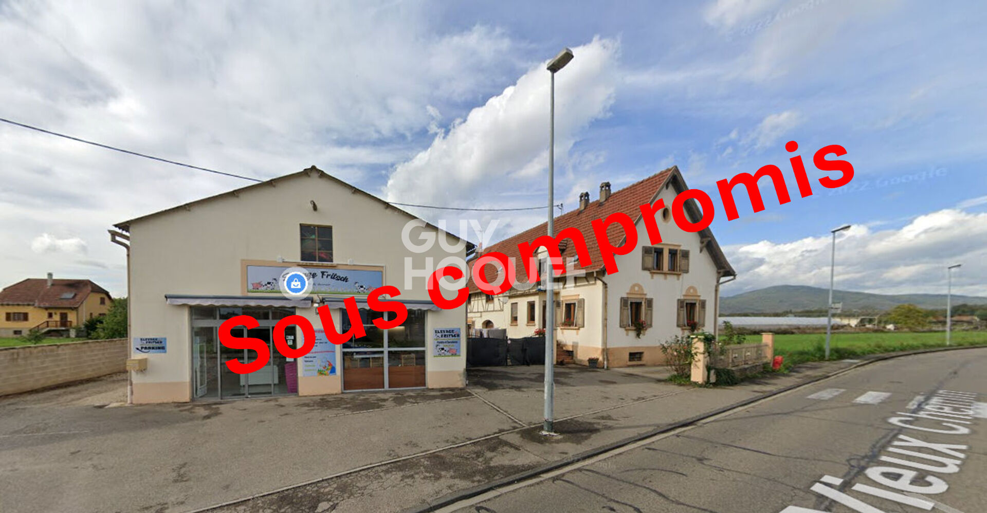 Maison Selestat 11 pièce(s) 230 m2